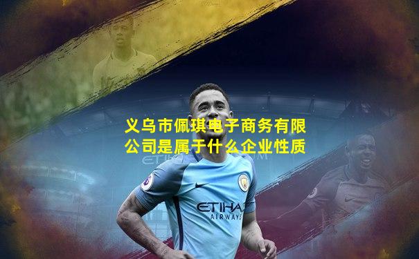 义乌市佩琪电子商务有限公司是属于什么企业性质