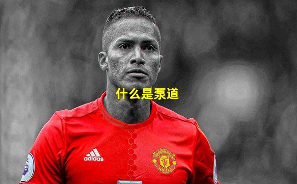 什么是泵道