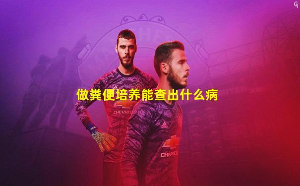 做粪便培养能查出什么病