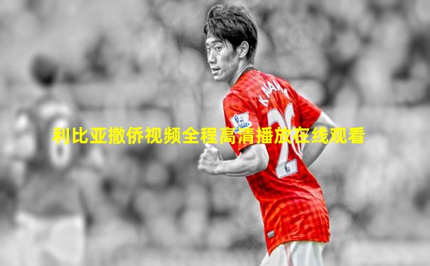 利比亚撤侨视频全程高清播放在线观看