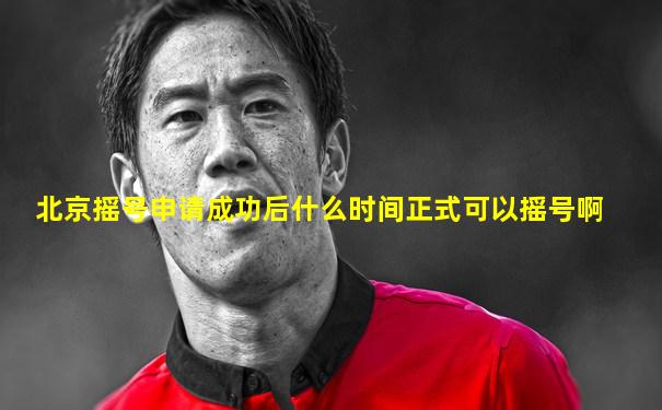 北京摇号申请成功后什么时间正式可以摇号啊