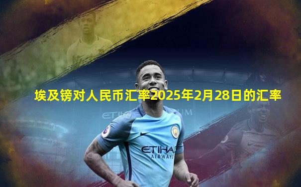 埃及镑对人民币汇率2025年2月28日的汇率