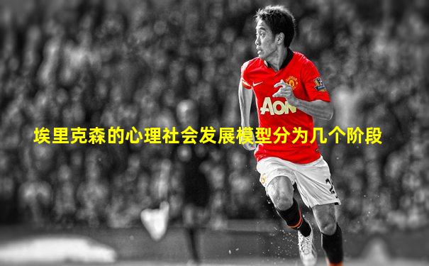 埃里克森的心理社会发展模型分为几个阶段