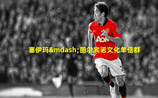 塞伊玛—图尔宾诺文化单倍群