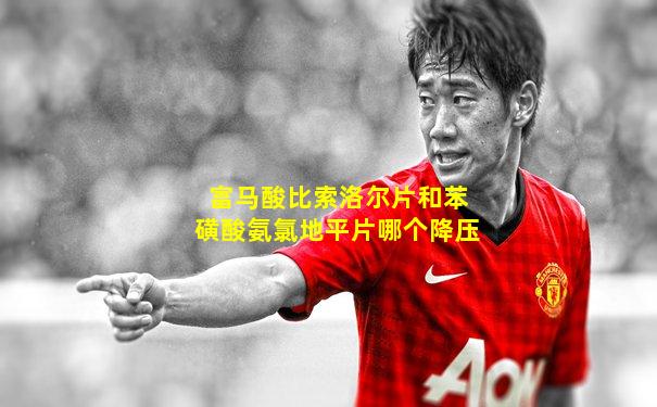 富马酸比索洛尔片和苯磺酸氨氯地平片哪个降压