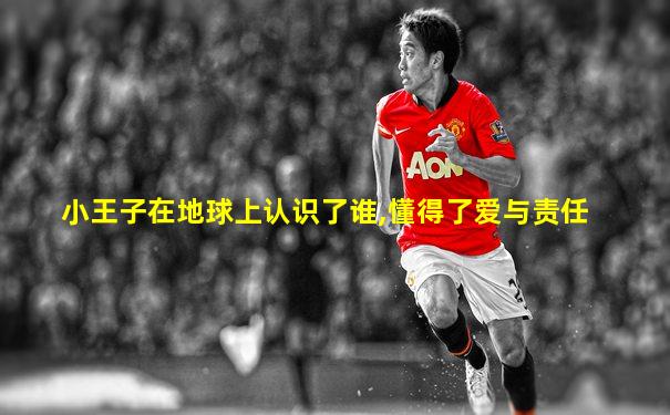 小王子在地球上认识了谁,懂得了爱与责任