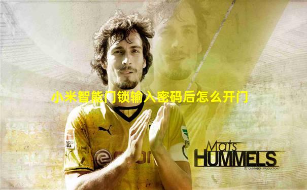 小米智能门锁输入密码后怎么开门