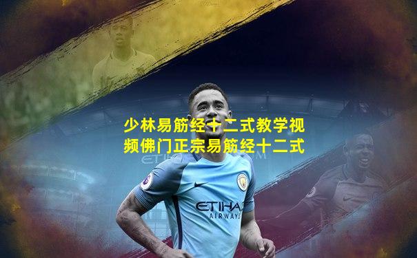 少林易筋经十二式教学视频佛门正宗易筋经十二式