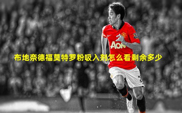 布地奈德福莫特罗粉吸入剂怎么看剩余多少