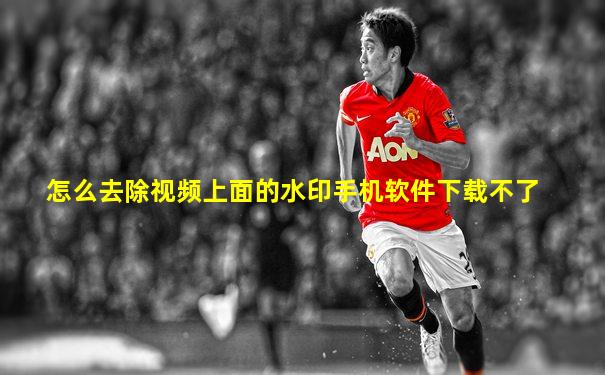 怎么去除视频上面的水印手机软件下载不了