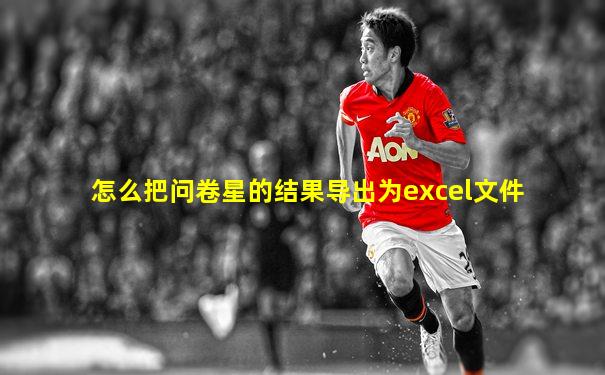 怎么把问卷星的结果导出为excel文件