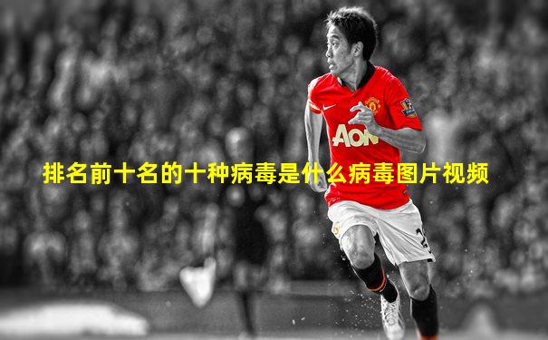 排名前十名的十种病毒是什么病毒图片视频
