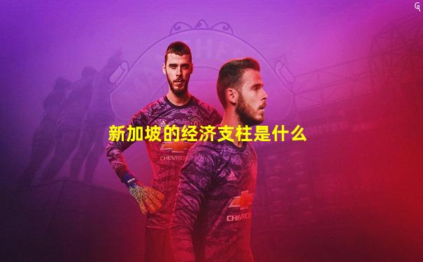 新加坡的经济支柱是什么