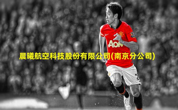 晨曦航空科技股份有限公司(南京分公司)