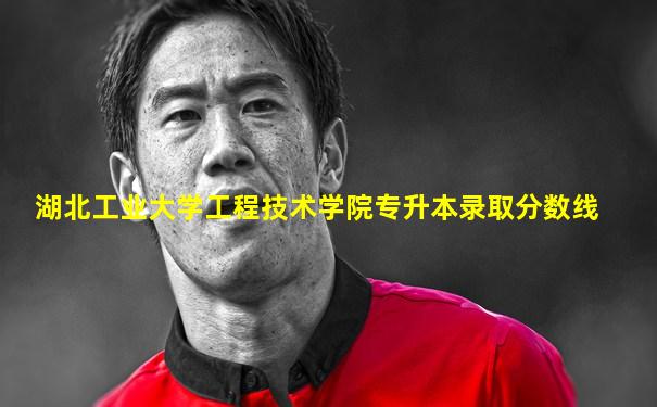 湖北工业大学工程技术学院专升本录取分数线
