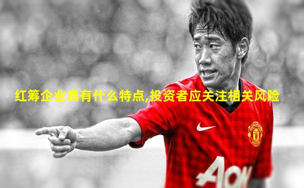 红筹企业具有什么特点,投资者应关注相关风险