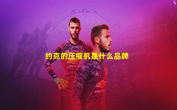 约克的压缩机是什么品牌