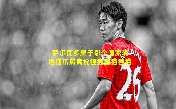 萨尔瓦多属于哪个国家转运猫爪燕窝说狸猫狸猫狸猫