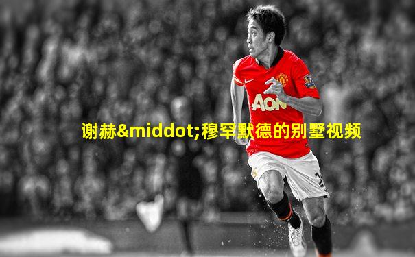 谢赫·穆罕默德的别墅视频