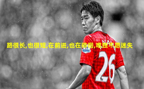 路很长,也很短,在前进,也在徘徊,唯独不愿迷失