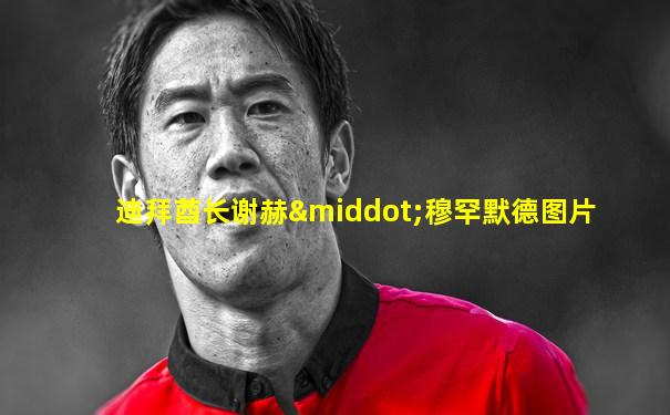 迪拜酋长谢赫·穆罕默德图片