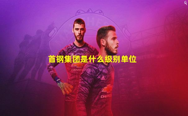 首钢集团是什么级别单位