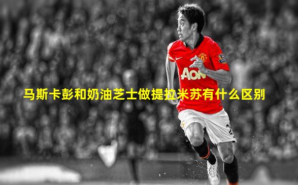 马斯卡彭和奶油芝士做提拉米苏有什么区别
